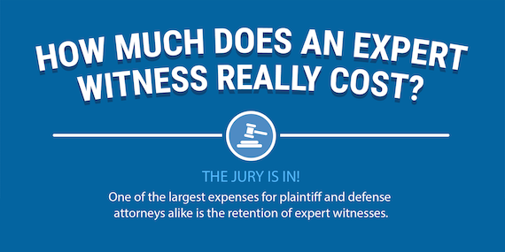 expert witness fees